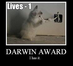 darwin-award1